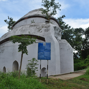 henry martin's pagoda